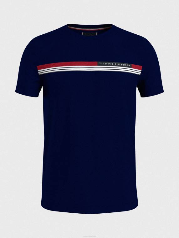 חולצת טי שירט חתימה NX201482 שמיים מדבריים Tommy Hilfiger