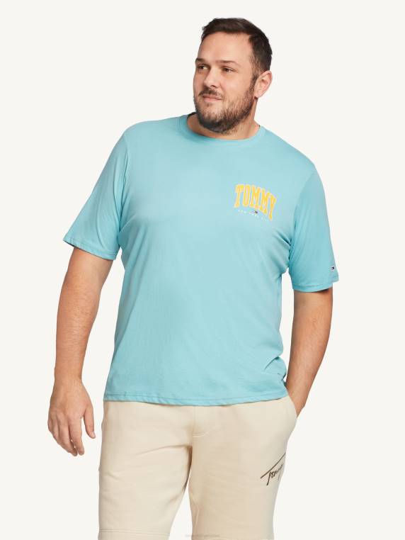 בתוספת חולצת טריקו גרפית מכללת כותנה אורגנית NX201555 סֵמֶל Tommy Hilfiger