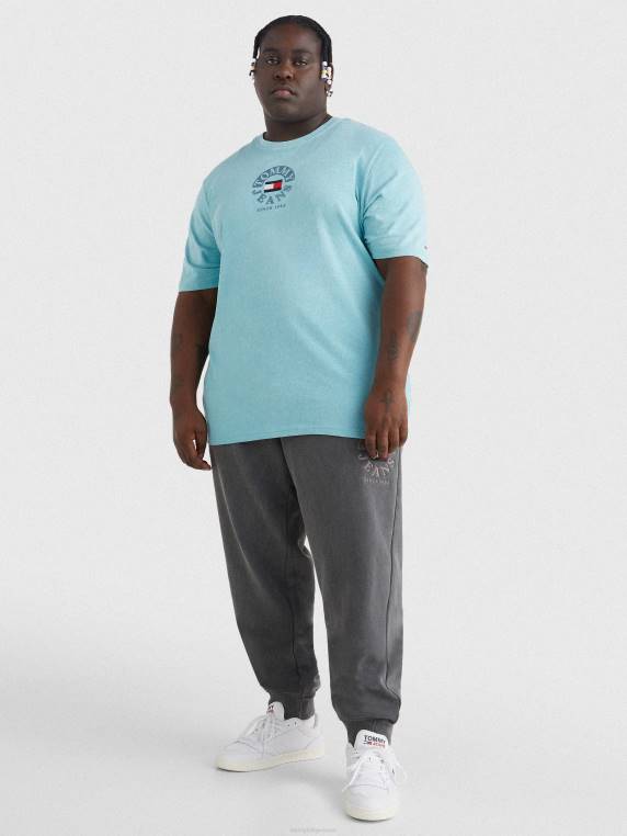 בתוספת חולצת לוגו מכותנה אורגנית NX201574 סֵמֶל Tommy Hilfiger