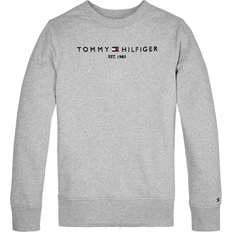 סווטשירט צוות חיוני NX2019893 אפור p01 Tommy Hilfiger