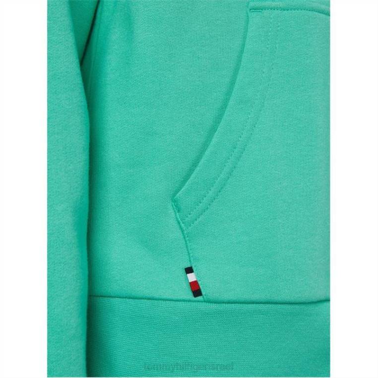 דגם רוכסן מכותנה ממוחזרת NX2020245 אלוה ירוק l3l Tommy Hilfiger