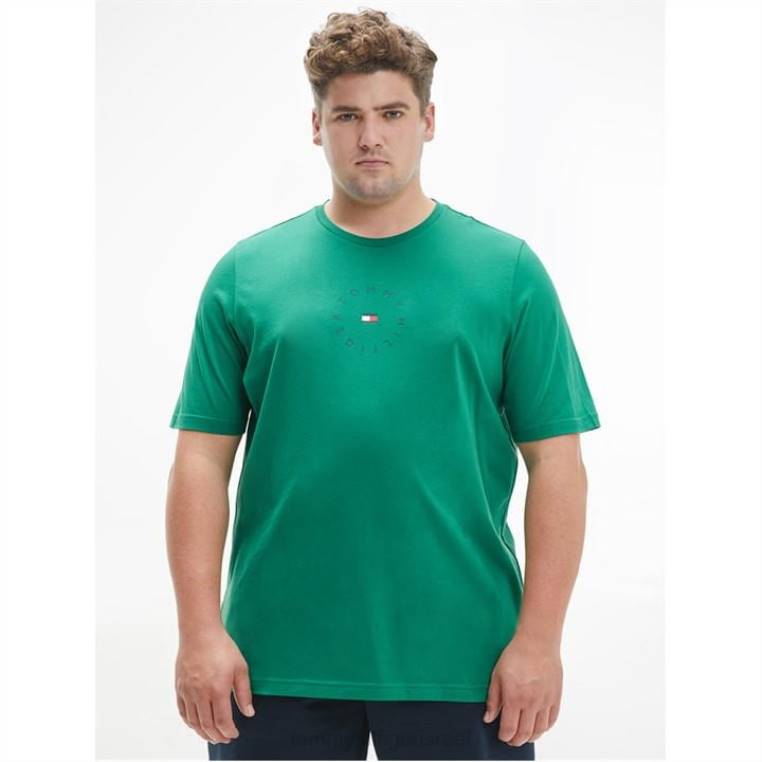 חולצה עגולה לגברים NX2020329 ירוק אלסקה Tommy Hilfiger