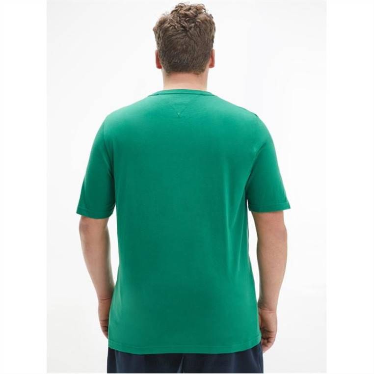 חולצה עגולה לגברים NX2020329 ירוק אלסקה Tommy Hilfiger