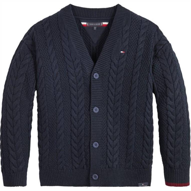 קרדיגן כבלים חיוני NX2020948 שמיים מדבריים Tommy Hilfiger