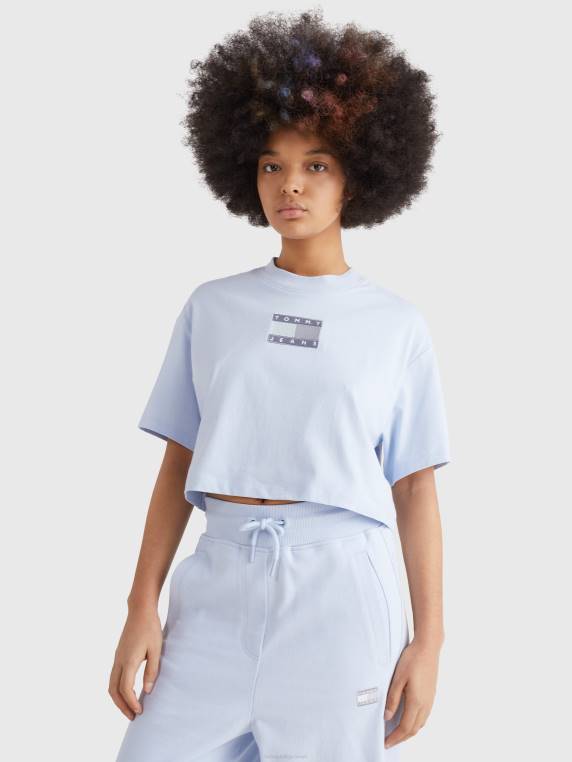 חולצת טי גרפית לוגו גווני NX202814 כחול שקוף Tommy Hilfiger