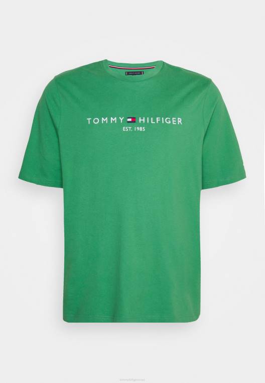 חולצת טי עם הדפס לוגו NX204091 ירוק מרכזי Tommy Hilfiger