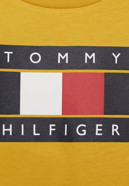 חולצת טריקו עם דגל פסים גלובליים בהדפס טי NX204387 צהוב טוסקני Tommy Hilfiger