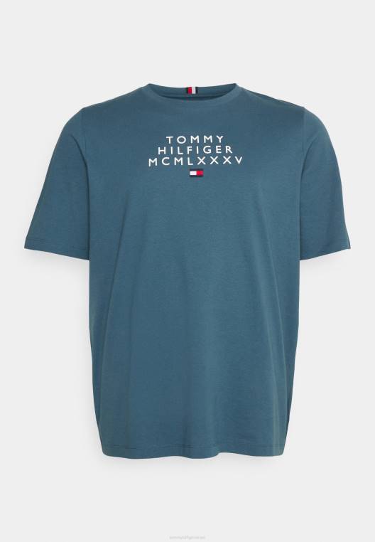חולצת טריקו קטנה במרכז גרפי בהדפס טי NX206245 כחול פחם Tommy Hilfiger