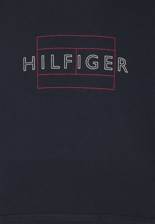 סווטשירט קפוצ'ון דגל ליניארי NX206275 שמיים מדבריים Tommy Hilfiger