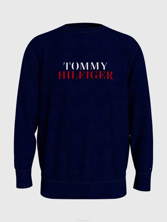סווטשירט לוגו רך במיוחד NX20723 שמיים מדבריים Tommy Hilfiger