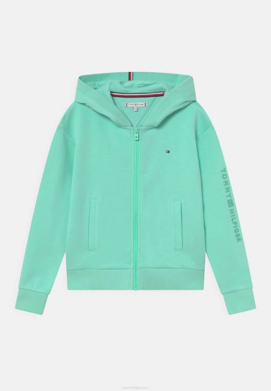 סווטשירט חיוני מודע עם רוכסן NX207404 לגונה צלולה Tommy Hilfiger