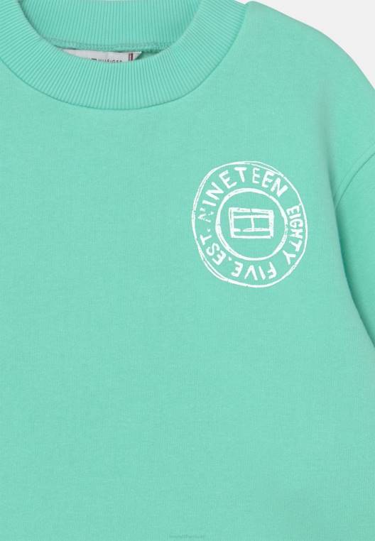 סווטשירט צוות אוברפרינט NX208150 לגונה צלולה Tommy Hilfiger