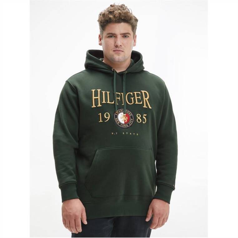 קפוצ'ון גרפי של bt NX2020190 יער לאומי Tommy Hilfiger