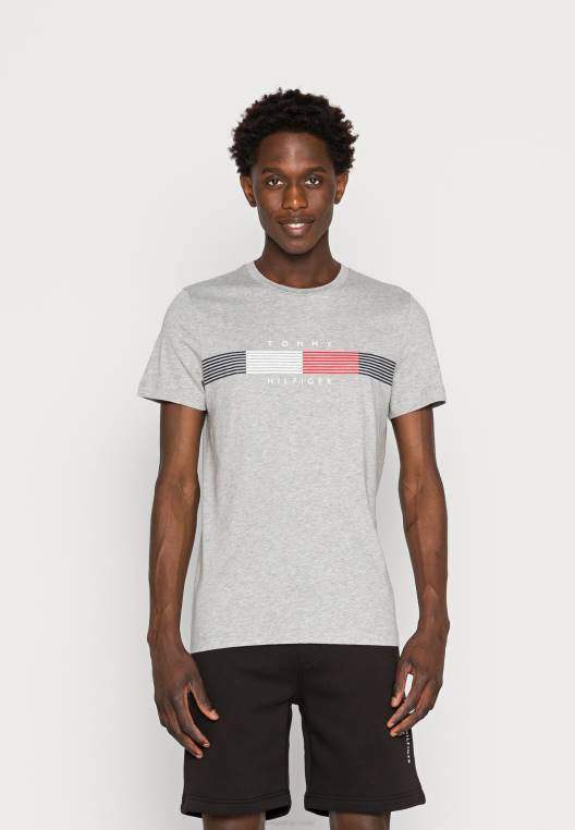 chest corp חולצת טריקו גרפית בהדפס טי NX204326 אברש אפור בהיר Tommy Hilfiger