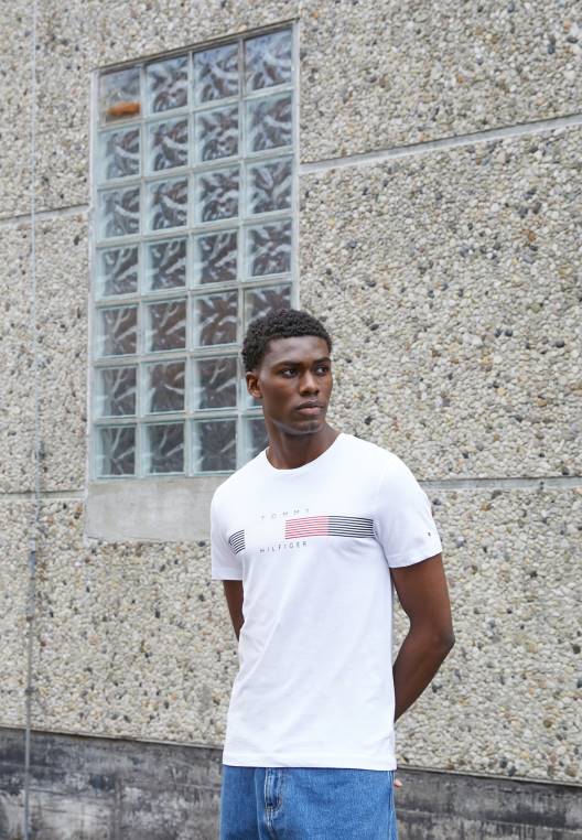 chest corp חולצת טריקו גרפית בהדפס טי NX204399 לבן Tommy Hilfiger