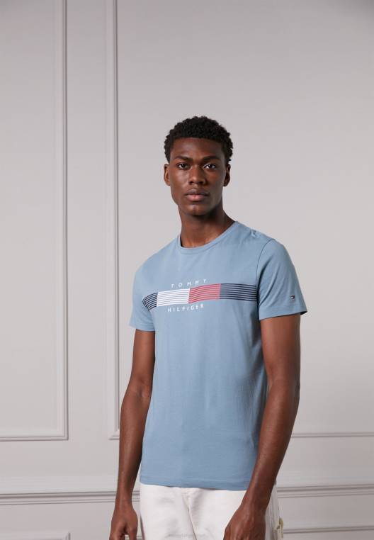 chest corp חולצת טריקו גרפית בהדפס טי NX204993 כחול גבוה Tommy Hilfiger