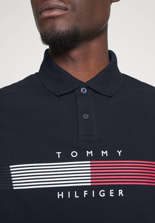 חולצת פולו גרפית rwb corp חזה NX204511 שמיים מדבריים Tommy Hilfiger